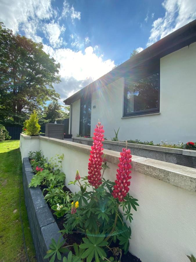 Aurora Suite B&B Coupar Angus Εξωτερικό φωτογραφία